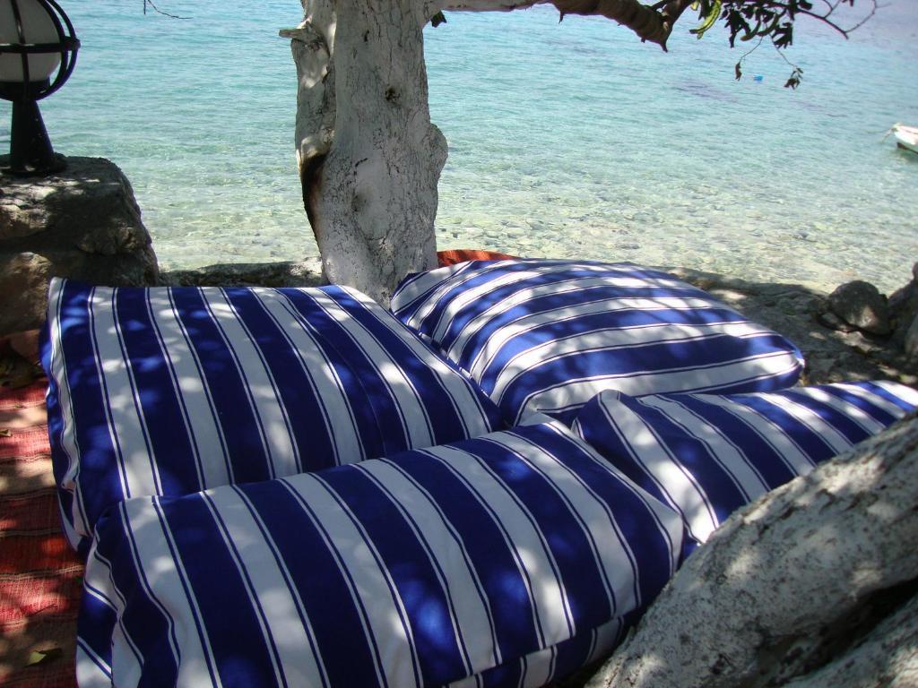 Hotel Mavi Akvaryum Pension Sogut  Zewnętrze zdjęcie