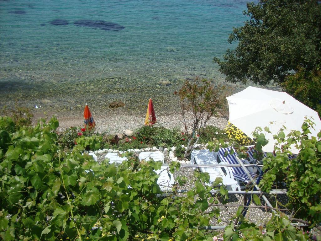 Hotel Mavi Akvaryum Pension Sogut  Zewnętrze zdjęcie